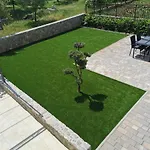Ana פורת